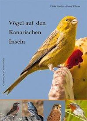 Cover for Ulrike Strecker · Vögel auf den Kanarischen Inseln (Pamphlet) (2016)