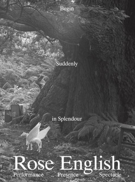 Cover for Rose English · Begin Suddenly in Splendour (Paperback Book) (2024)