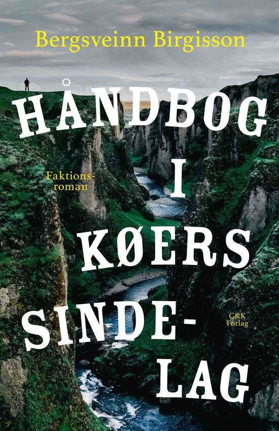 Håndbog i køers sindelag - Bergsveinn Birgisson - Livros - C&K - 9788740046052 - 23 de abril de 2020