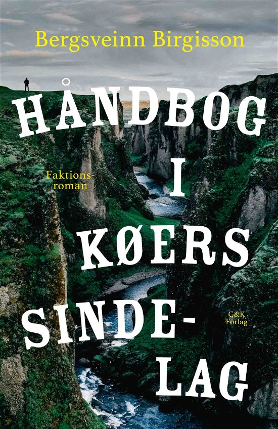 Cover for Bergsveinn Birgisson · Håndbog i køers sindelag (Heftet bok) [1. utgave] (2020)
