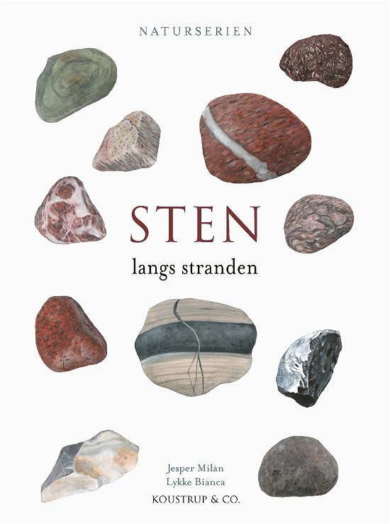 Jesper Milàn · Naturserien: STEN (Gebundesens Buch) [1. Ausgabe] (2024)