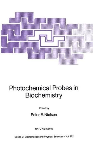 Peter E Nielsen · Photochemical Probes in Biochemistry - NATO Science Series C (Paperback Book) [Softcover reprint of the original 1st ed. 1989 edition] (2011)