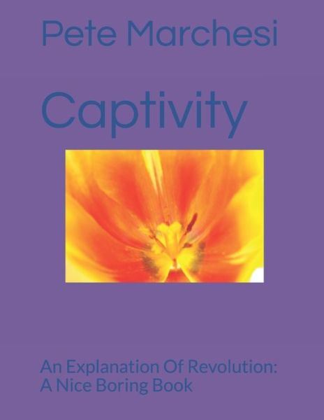 Cover for Pete Marchesi · Captivity: An Explanation Of Revolution: A Nice Boring Book (Paperback Book) (2020)