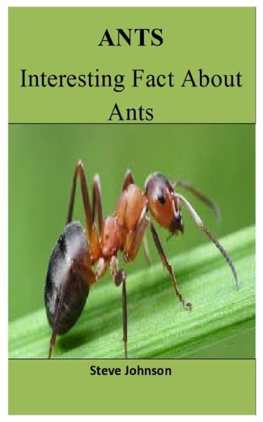 Cover for Steve Johnson · Ants (Paperback Book) (2021)