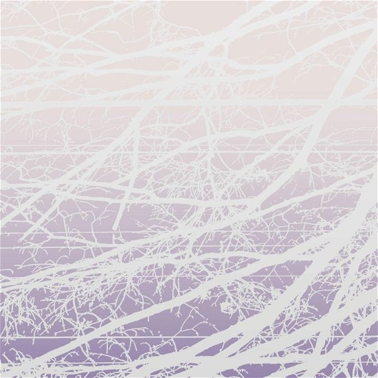Cover for Lea Bertucci · Metal Aether / Resonant Field (LP) (2022)