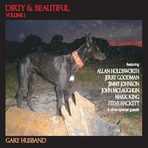 Cover for Gary Husband · Dirty &amp; Beautiful 1 (CD) (2010)