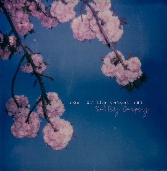 Cover for Son Of The Velvet Rat · Solitary Company (CD) (2021)