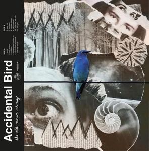 Cover for Accidental Bird · The Old News Shrug (CD) (2023)