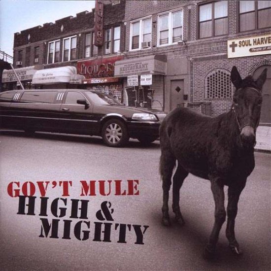 Cover for Gov't Mule · High &amp; Mighty (CD) (2009)