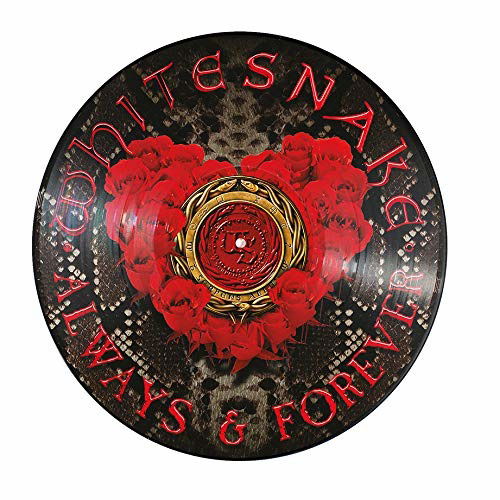 Always & Forever (Ltd Ed Picture Disc) - Whitesnake - Musiikki - FRONTIERS - 8024391102053 - perjantai 14. helmikuuta 2020