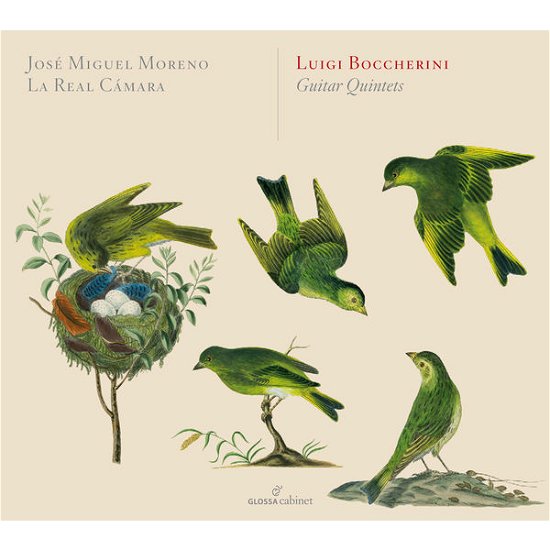 Cover for L. Boccherini · Guitar Quintets (CD) (2014)