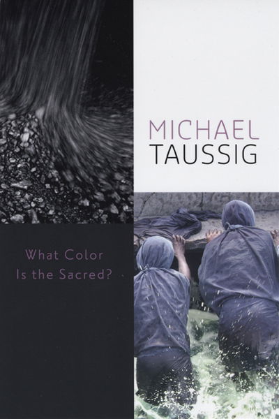 Cover for Michael Taussig · What Color Is the Sacred? (Hardcover Book) (2009)