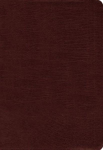 Cover for Zondervan Publishing · Amplified Holy Bible, Large Print, Bonded Leather, Burgundy: Captures the Full Meaning Behind the Original Greek and Hebrew (Lederbuch) [Large type / large print edition] [Burgundy Bonded] (2015)