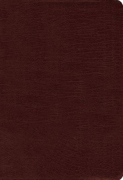 Cover for Zondervan Publishing · Amplified Holy Bible, Large Print, Bonded Leather, Burgundy: Captures the Full Meaning Behind the Original Greek and Hebrew (Læderbog) [Large type / large print edition] [Burgundy Bonded] (2015)