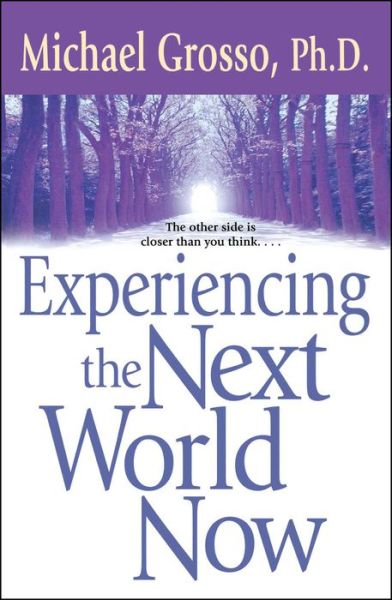 Experiencing the Next World Now - Michael Grosso - Livres - Simon & Schuster Ltd - 9780743471053 - 6 janvier 2004