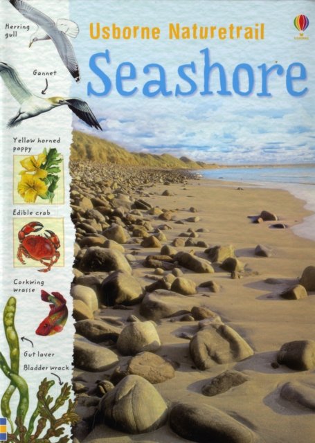 Cover for Sarah Courtauld · Naturetrail Seashore (Paperback Bog) (2008)