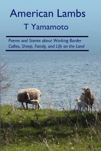 Cover for T Yamamoto · American Lambs: Poems and Stories About Working Border Collies, Sheep, Family, (Paperback Book) (2009)