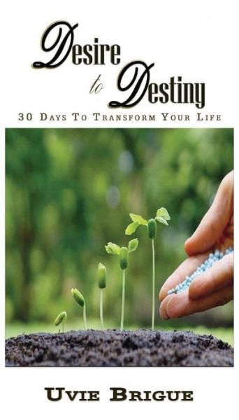 Cover for Uvie Brigue · Desire to Destiny: 30 Days to Transform Your Life (Pocketbok) (2017)