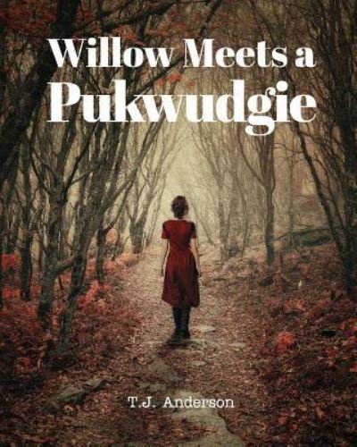 Cover for Tj Anderson · Willow Meets a Pukwudgie (Paperback Book) (2017)