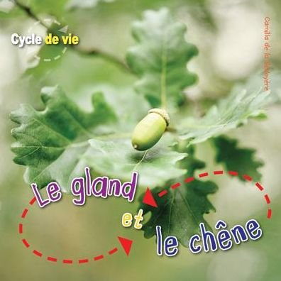 Cover for Camilla De La Bedoyere · Cycle de Vie Le Gland Et Le Ch?ne (Paperback Book) (2012)