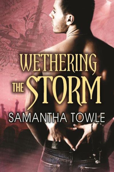 Cover for Samantha Towle · Wethering the Storm - The Storm (Paperback Book) (2013)