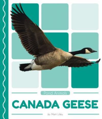 Cover for Matt Lilley · Canada Geese (Hardcover Book) (2018)