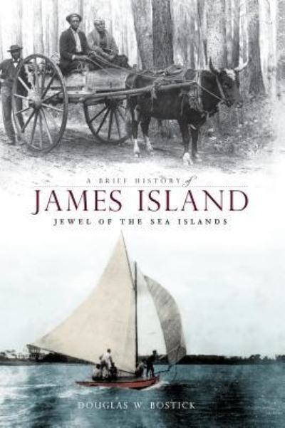 Cover for Douglas W Bostick · A Brief History of James Island (Hardcover Book) (2008)