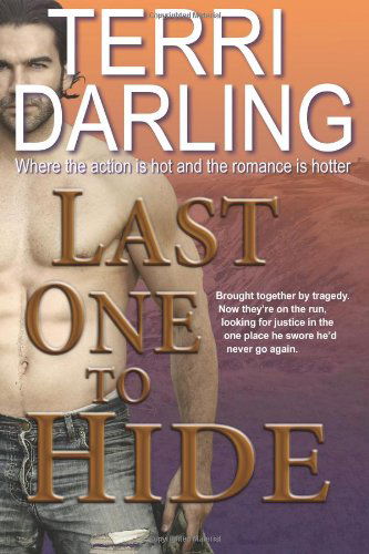 Cover for Terri Darling · Last One to Hide (Paperback Book) (2013)