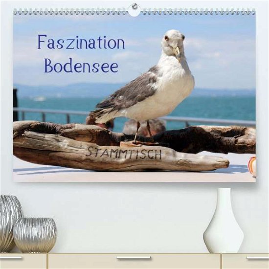 Cover for Raab · Faszination Bodensee (Premium-Kale (Bok)