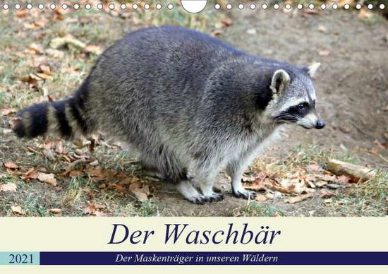 Cover for Klatt · Der Waschbär - Der Maskenträger i (Book)