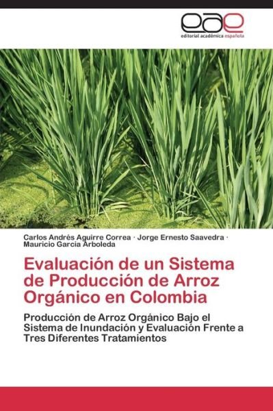 Cover for Garcia Arboleda Mauricio · Evaluacion De Un Sistema De Produccion De Arroz Organico en Colombia (Taschenbuch) (2011)