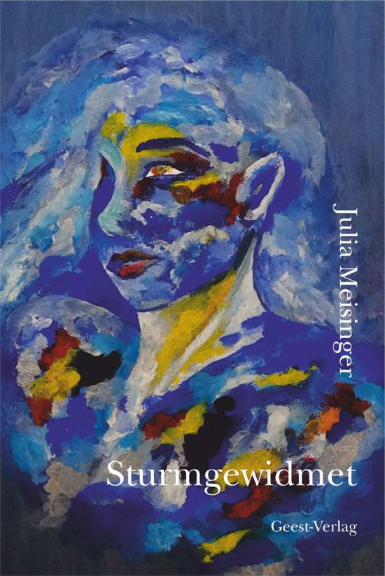 Cover for Meisinger · Sturmgewidmet (Book)