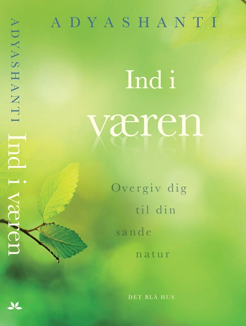 Cover for Adyashanti · Ind i væren (Bound Book) [1st edition] [Indbundet] (2012)