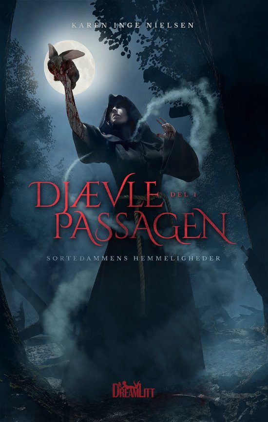 Cover for Karen Inge Nielsen · Djævlepassagen: Sortedammens Hemmeligheder - Djævlepassagen 1 (Hardcover Book) [1. Painos] (2018)