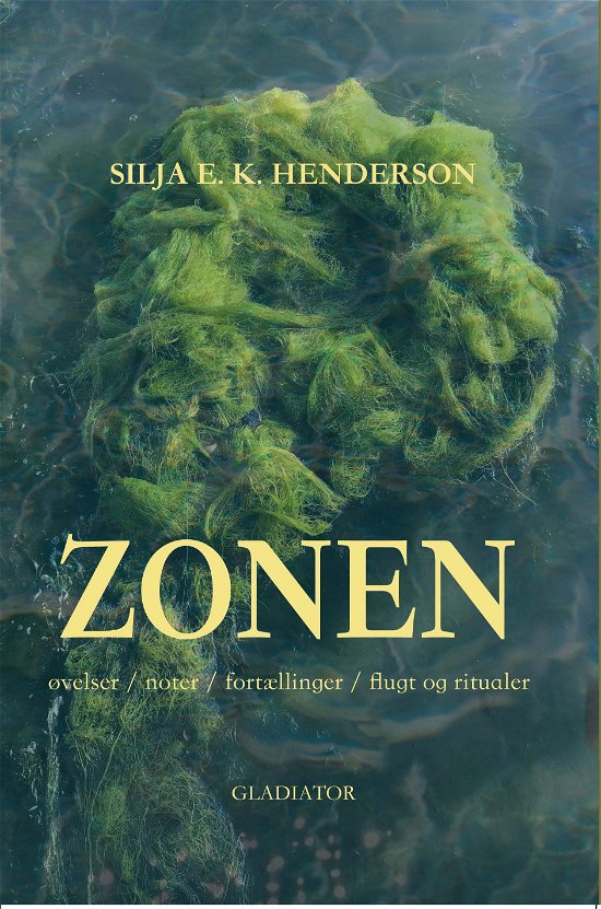 Cover for Silja Henderson · Zonen (Sewn Spine Book) [1er édition] (2022)