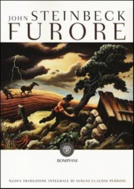 Cover for John Steinbeck · Furore (Buch) (2013)
