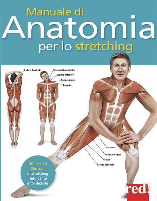 Cover for Ken Ashwell · Manuale Di Anatomia Per Lo Stretching. 50 Esercizi Illustrati Di Stretching, Rinforzante E Tonificante (Book)