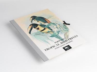 Cover for Pepin Van Roojen · Tropical Bird Prints: Art Portfolio (Hardcover Book) (2020)