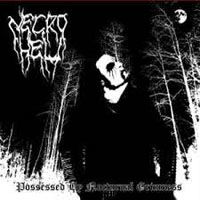 Cover for Necrohell · Possessed by Nocturnal Grimness (LP) (2018)