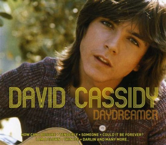 Cover for David Cassidy · Daydreamer (CD) (2005)
