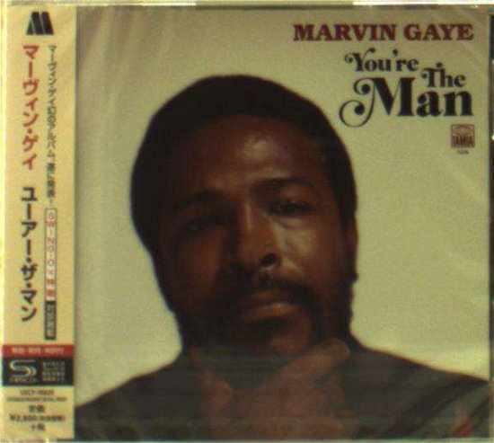 You're the Man - Marvin Gaye - Musique - UNIVERSAL - 4988031332054 - 17 mai 2019