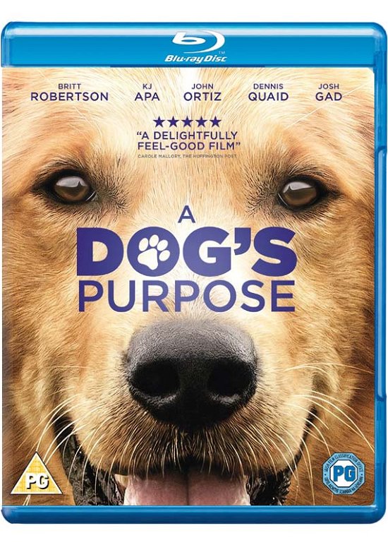 Cover for Dogs Purpose a BD · A Dog's Purpose [blu-ray] (Blu-ray) (2017)