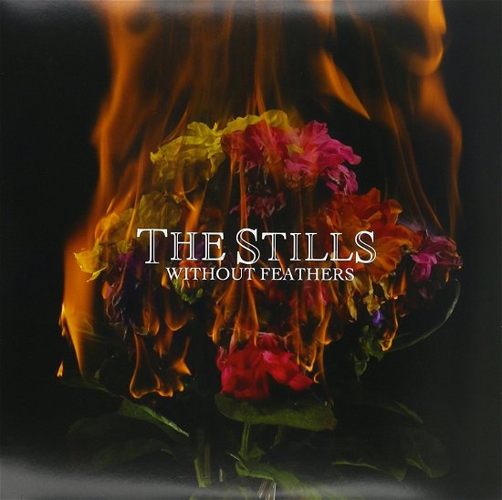 Cover for Stills · Without Feathers (CD) (2009)