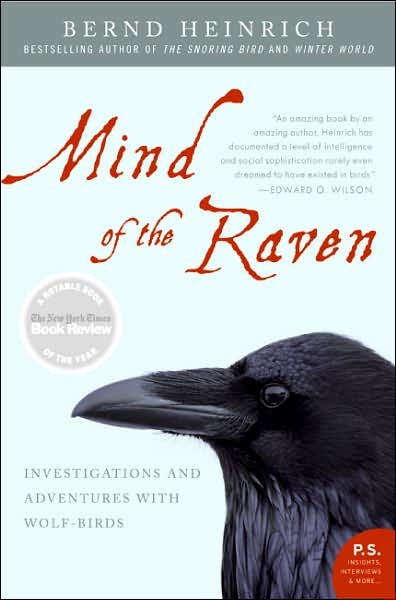 Mind of the Raven: Investigations and Adventures with Wolf-Birds - Bernd Heinrich - Books - HarperCollins - 9780061136054 - May 29, 2007