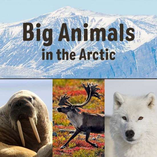 Cover for Arvaaq Press · Big Animals in the Arctic: English Edition - Nunavummi Reading Series (Paperback Book) [English edition] (2019)