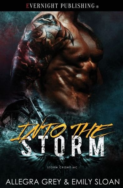 Cover for Emily Sloan · Into the Storm (Paperback Book) (2022)