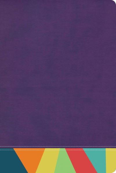 RVR 1960 Biblia de Estudio Arcoiris, Morado / multicolor - B&H Español Editorial Staff - Livros - B&H Publishing Group - 9781087706054 - 1 de junho de 2021