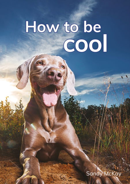 Cover for Sandy McKay · How to be cool - Red Squirrel Reading Road 1 (Paperback Book) (2025)