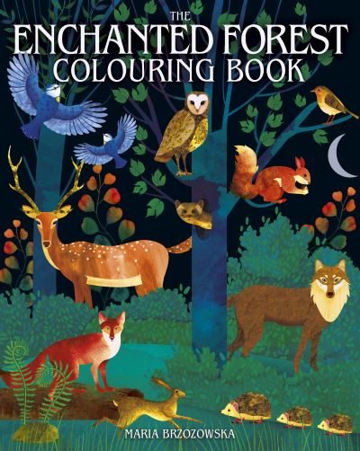 Cover for Maria Brzozowska · The Enchanted Forest Colouring Book - Arcturus Creative Colouring (Paperback Book) (2024)