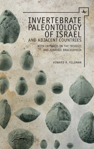 Cover for Howard B. Feldman · Invertebrate Paleontology (Mesozoic) of Israel and Adjacent Countries with Emphasis on the Brachiopoda - Touro College Press Books (Hardcover Book) (2013)